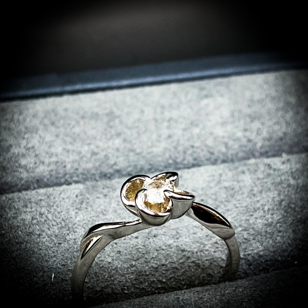 【限定一点】HarpinaBlossom