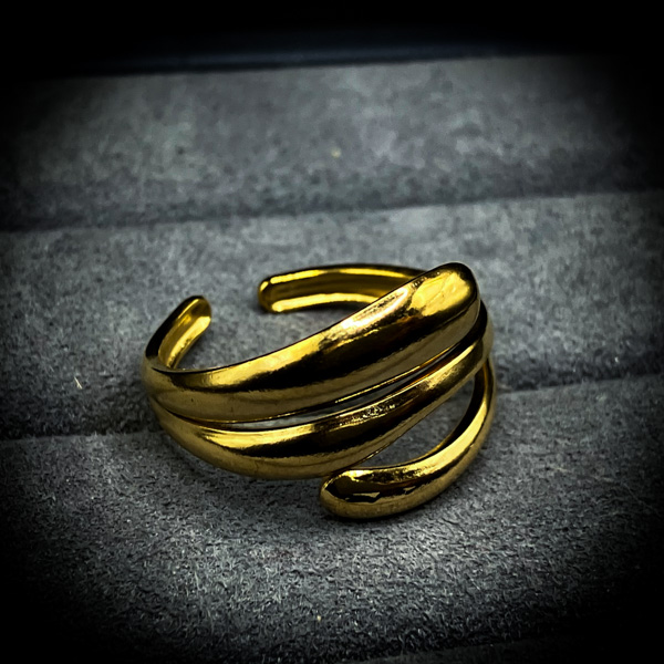 【限定復刻】パルフェ・デモニアークの環