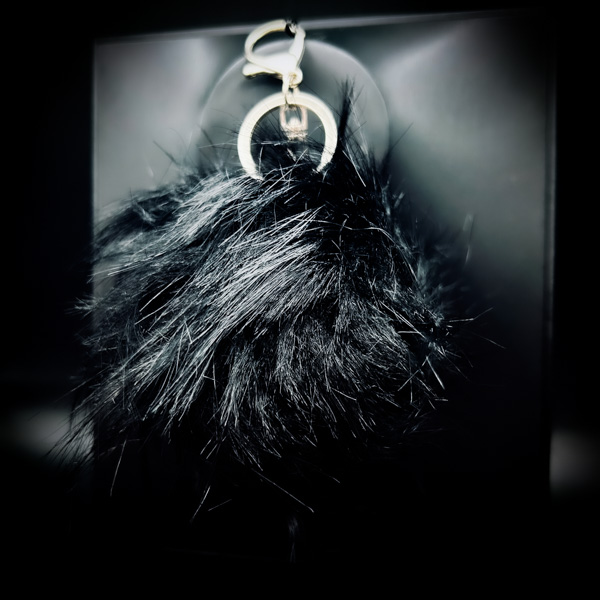 【使い魔】ノクス ― 闇を裂く守護の黒翼獣 ―