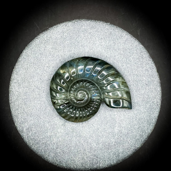 【限定一点】曹灰の宙螺旋