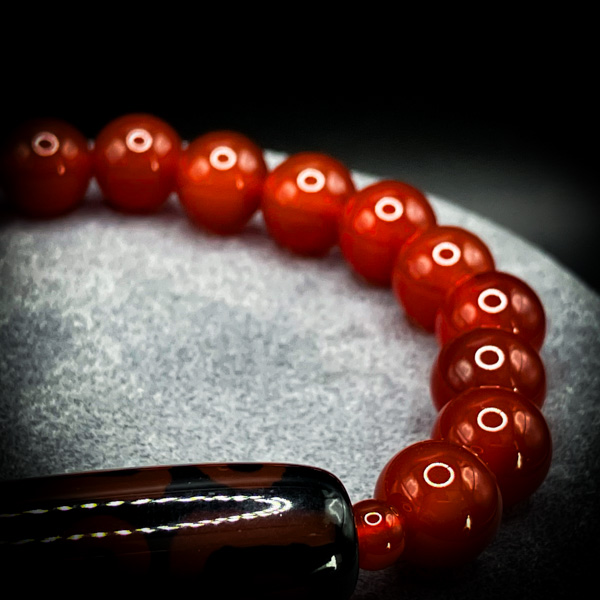 【限定一点】ブラッド・サラマンダー