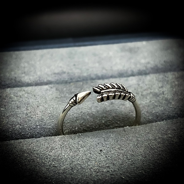 【数量限定】アサグの呪毒矢