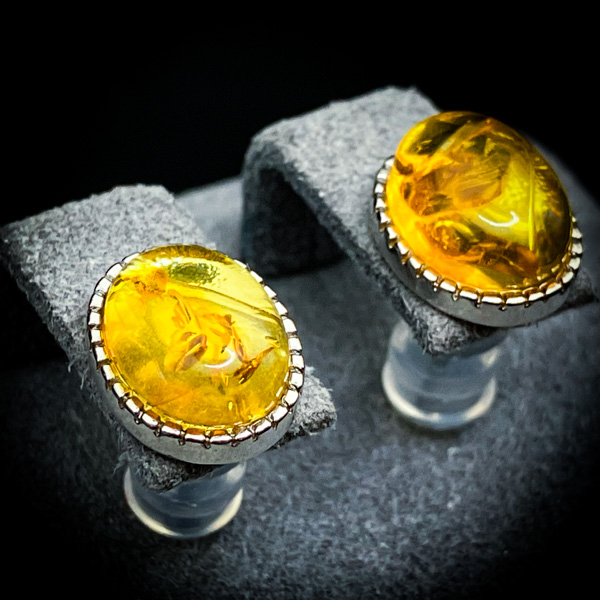 【限定一点】太古命の琥珀