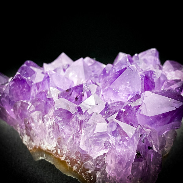 【限定一点】アミュゼイル・ラフィネ