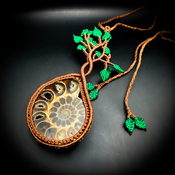 【限定一点】躍進の奇螺旋