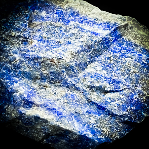 【限定一点】隠財覚のプルソン