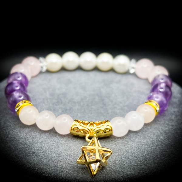 【数量限定】Dantalian Operation